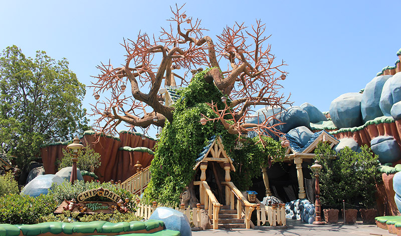 Chip 'n Dale's Treehouse