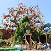 Chip 'n Dale's Treehouse