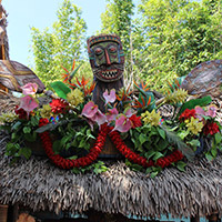 Tiki Juice Bar