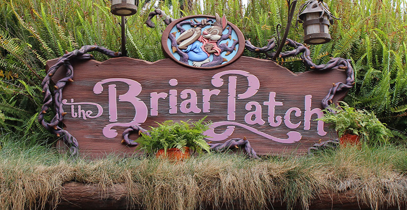 The Briar Patch