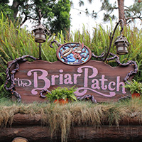 The Briar Patch