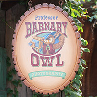 Professor Barnaby Owl's Photographic Art Studio