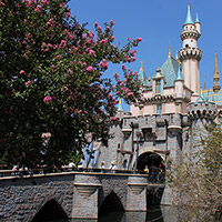 Sleeping Beauty Castle Bridge