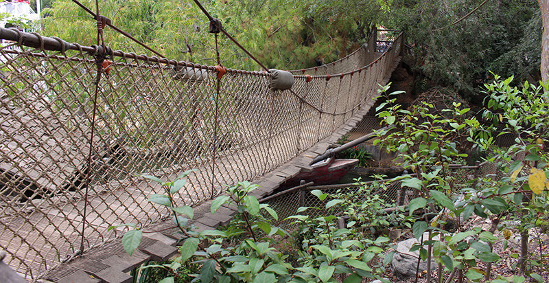 Suspension Bridge