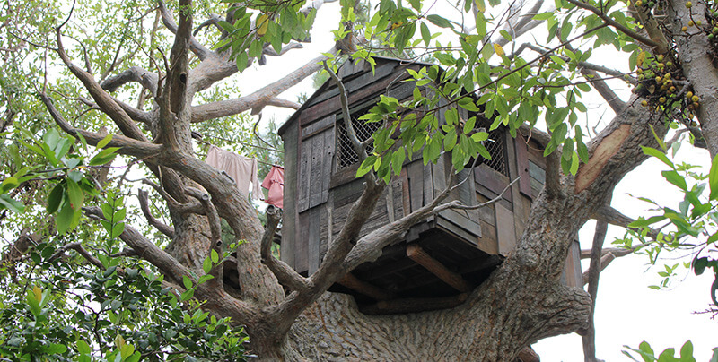 Treehouse