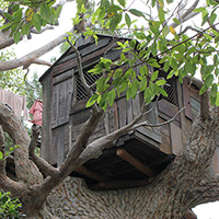 Treehouse