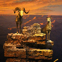 Grand Canyon Diorama