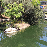 Fantasia Gardens Lagoon