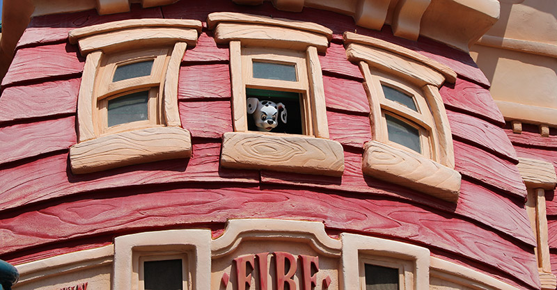 Dalmatian in Window