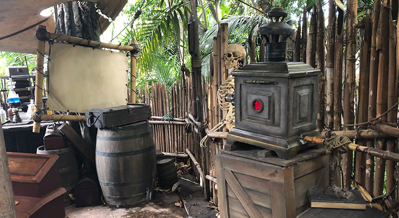 Tarzan's Treehouse Projector