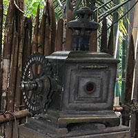 Tarzan's Treehouse Projector