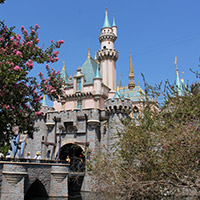 Fantasyland